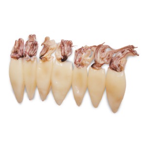 310584 - CALAMAR T&T (TUBO & TENTÁCULO) 3-5