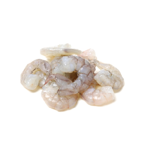 321792 - NAUTILUS CAMARÓN L31/35